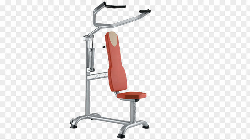 Arm Bench Exercise Equipment Machine Pulldown PNG