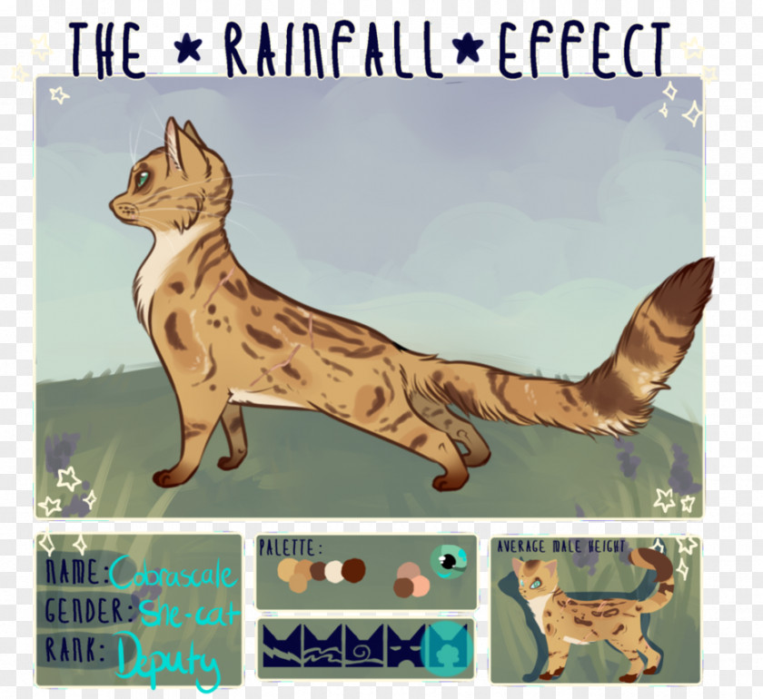 Bengal Cat Whiskers Warriors SkyClan's Destiny Tabby PNG