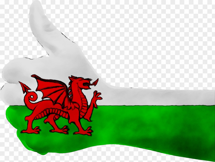 Flag Of Wales England PNG