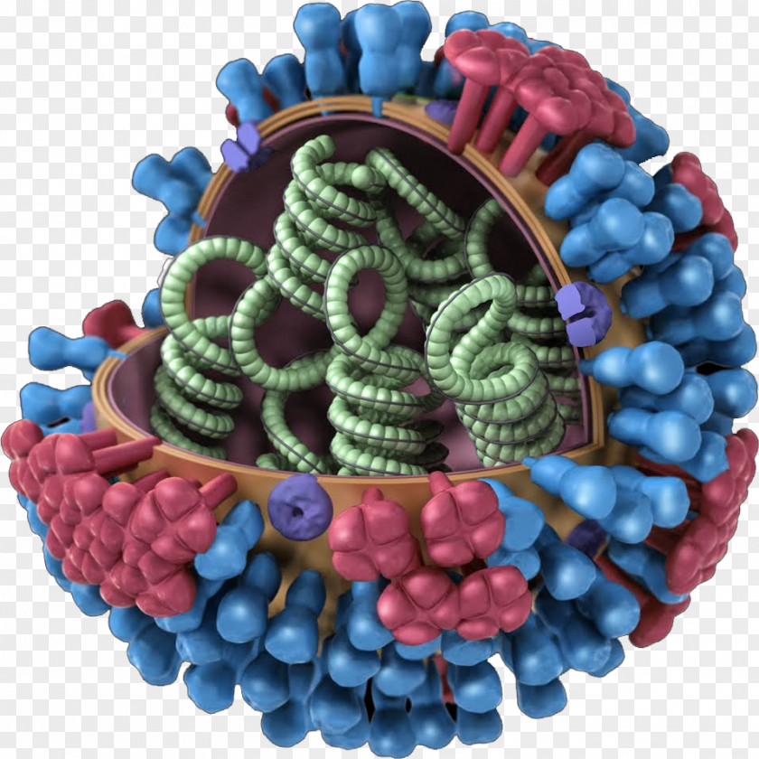 Flu Influenza Vaccine A Virus Subtype H3N2 Season PNG