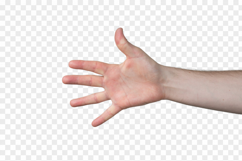 Hands Hand Arm Finger Thumb PNG