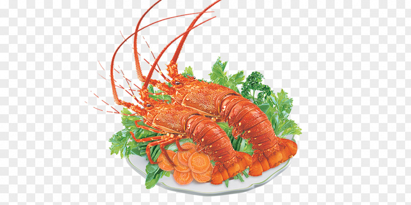Lobsters Lobster Seafood Sashimi Crab Crayfish As Food PNG