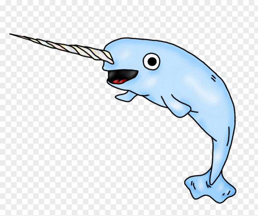 Narwhal Drawing Desktop Wallpaper Cartoon Clip Art PNG