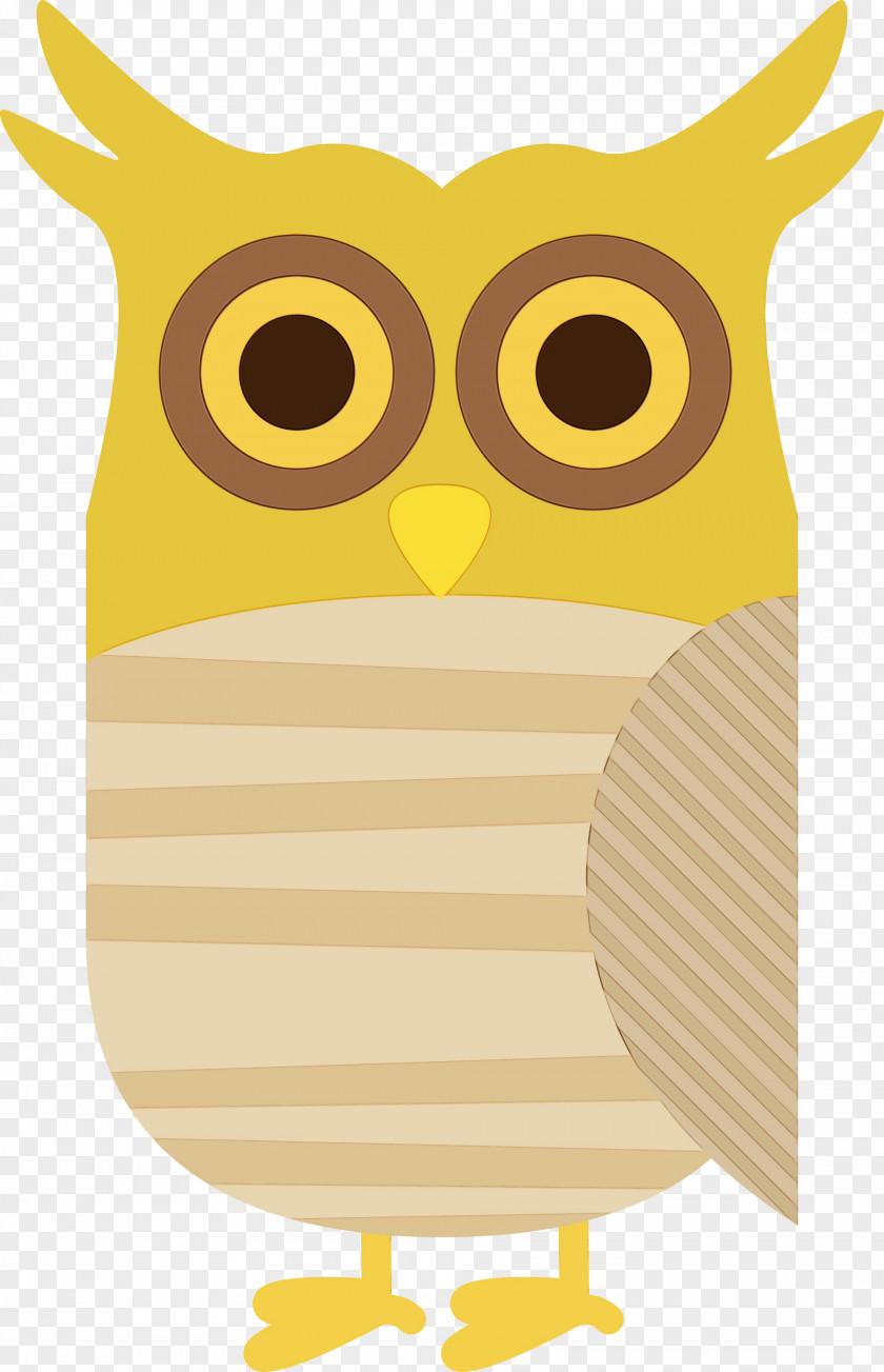 Owl M Yellow Cartoon Beak Font PNG