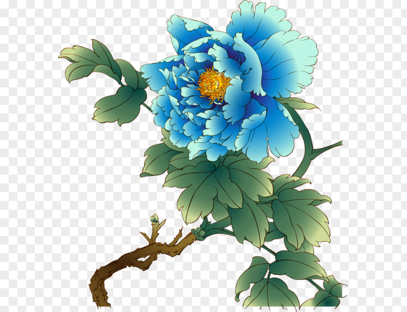 Peony Vector Graphics Image Painting Design PNG