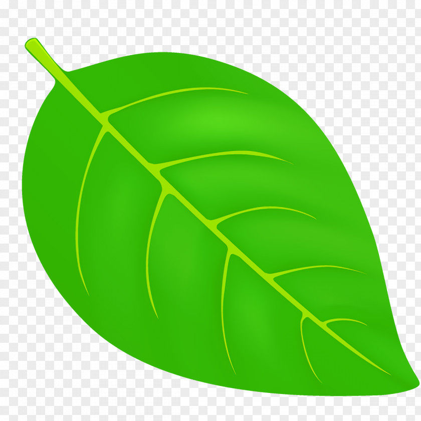 Plant Green Leaf Clip Art PNG
