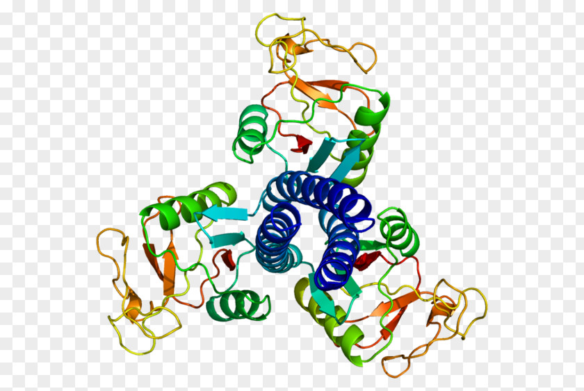 Pulmonary Surfactant Protein D A Lectin PNG