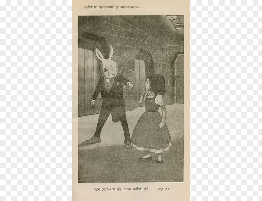 White Rabbit Alice Bengali Translation Language English PNG