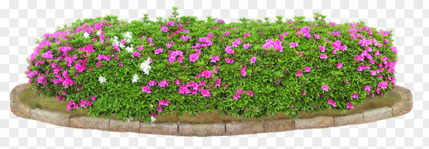 Bushes Clip Art PNG