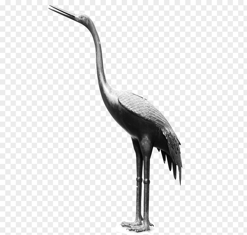 Crane Download PNG