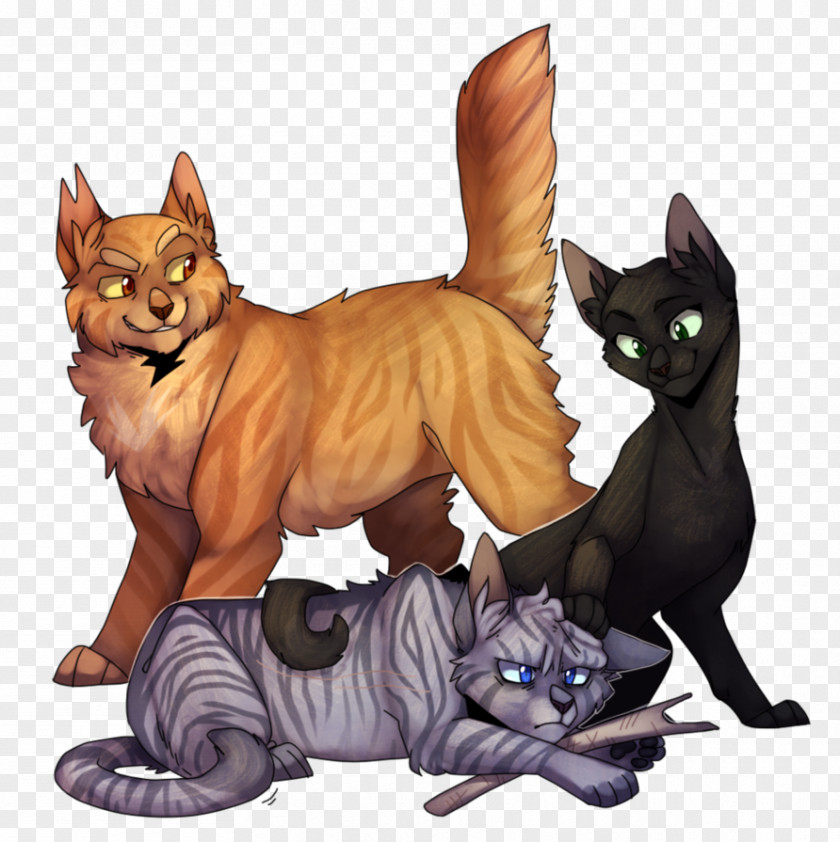 Drawing Feather Kitten Cat Whiskers Warriors Lionblaze PNG