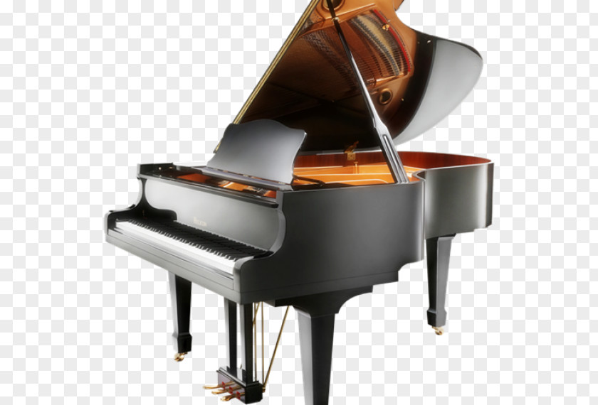 Grand Piano Fortepiano Euphony Musical Instruments Digital PNG