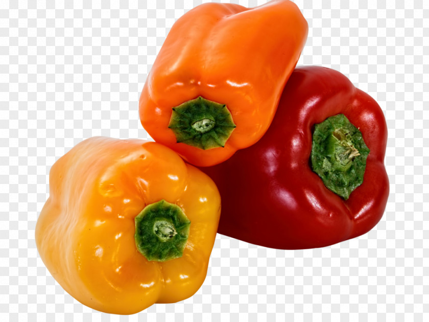 Bell Pepper Image Piquillo Chili Clip Art PNG