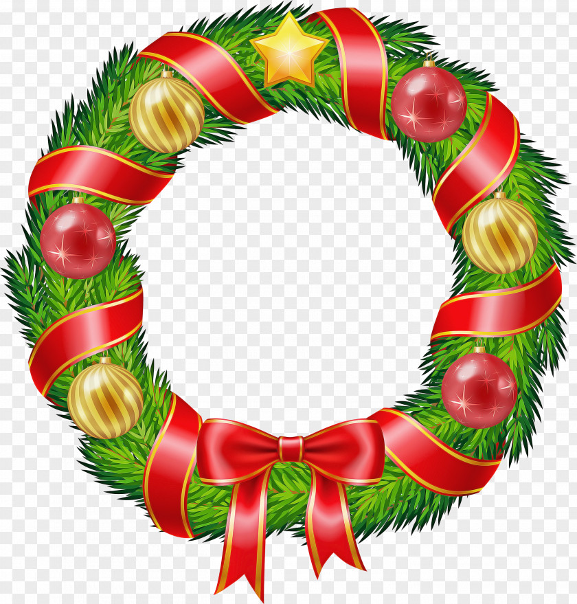 Christmas Plant Ornament PNG