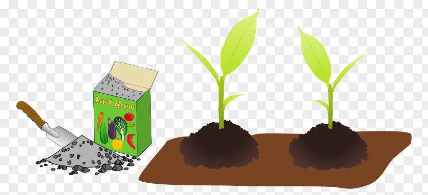 Flowerpot Plant Stem Cartoon Grass PNG