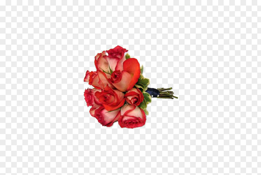 Rose Free Buckle Elements Garden Roses Beach Flower Bouquet Suit Boxer Briefs PNG