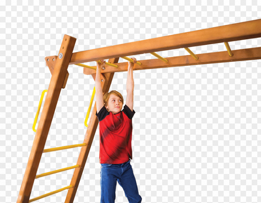 Swing Jungle Gym Playground Sales Rope PNG