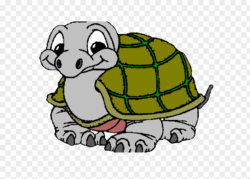 Turtle Tortoise Sea Coloring Book Drawing PNG