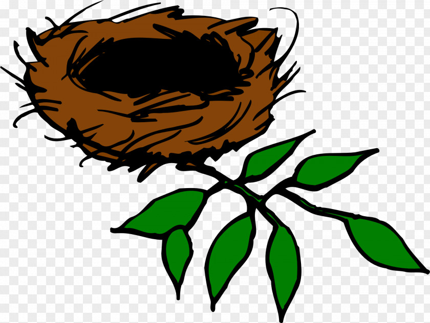 Twig Nest Bird Free Content Clip Art PNG