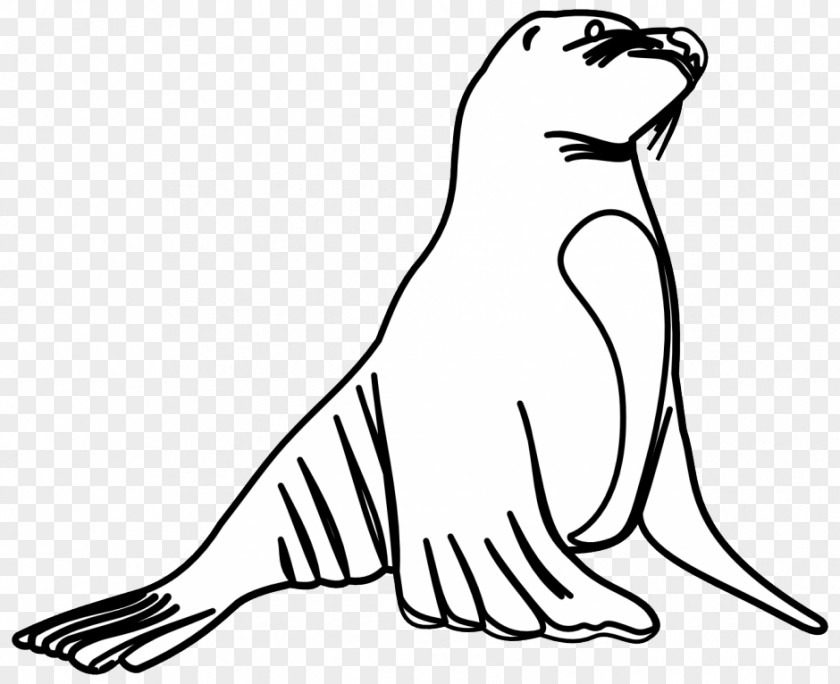 White Seal Cliparts Sea Lion Earless Otter Clip Art PNG