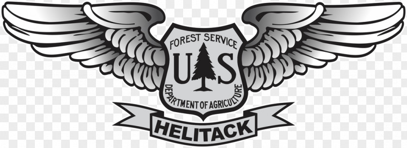 Fire Forest United States Service Smokey Bear National Logo PNG