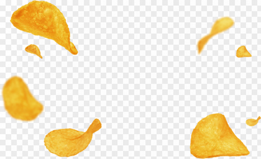 Potato_chips French Fries Fish And Chips Potato Chip Fast Food PNG