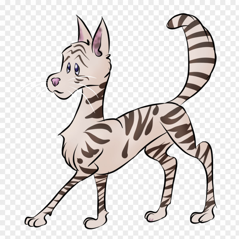 Cat Whiskers Horse Line Art Clip PNG