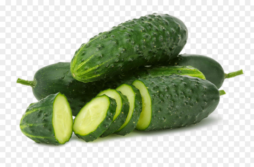 Cucumber Slices And Juicer Vegetable Fruit PNG