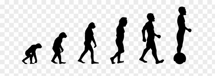 Hoverboard Back To The Future Human Evolution Neanderthal Wall Decal PNG