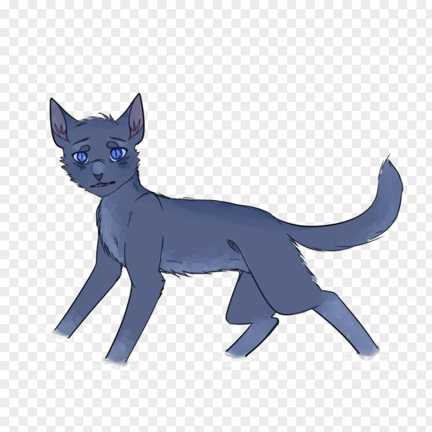 Kitten Whiskers Black Cat Dog PNG