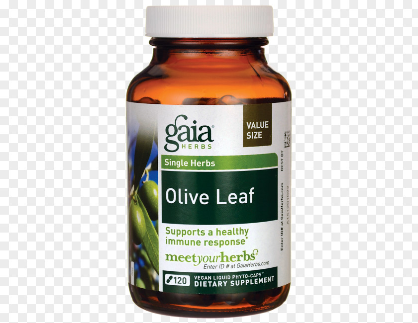 Olive Leaf Supplement Gaia Herbs Leaf, 120 Liquid Phyto-Capsules Dietary Product PNG