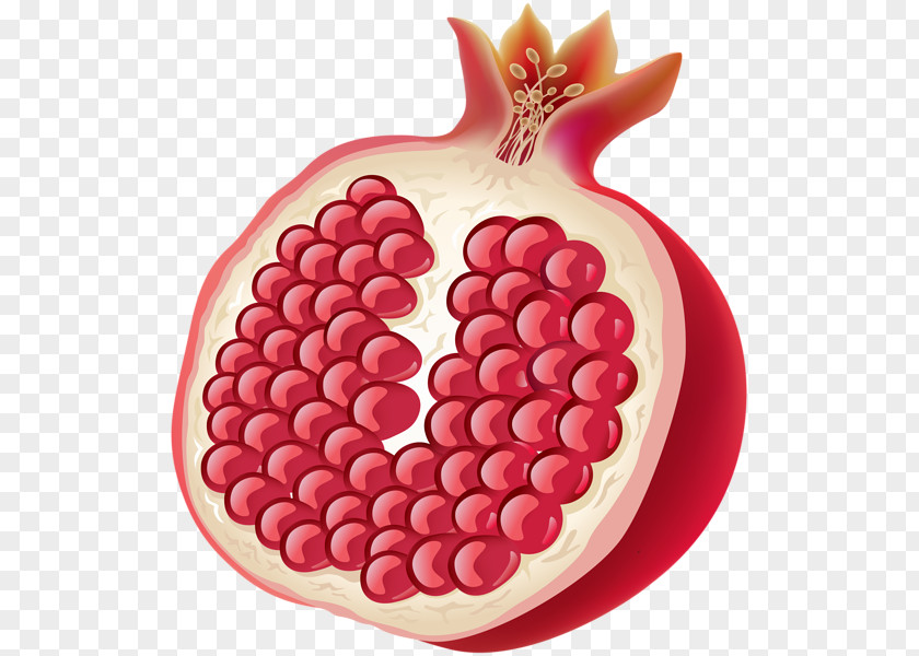 Pomegranate Clip Art PNG