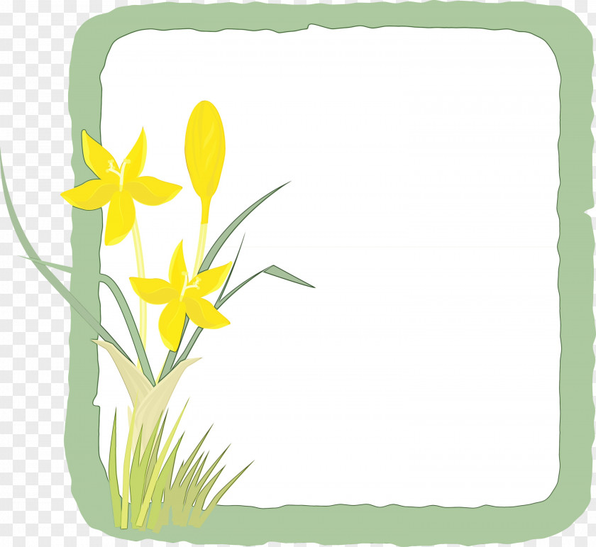 Royalty-free Vector Cut Flowers Flower Chamomile PNG