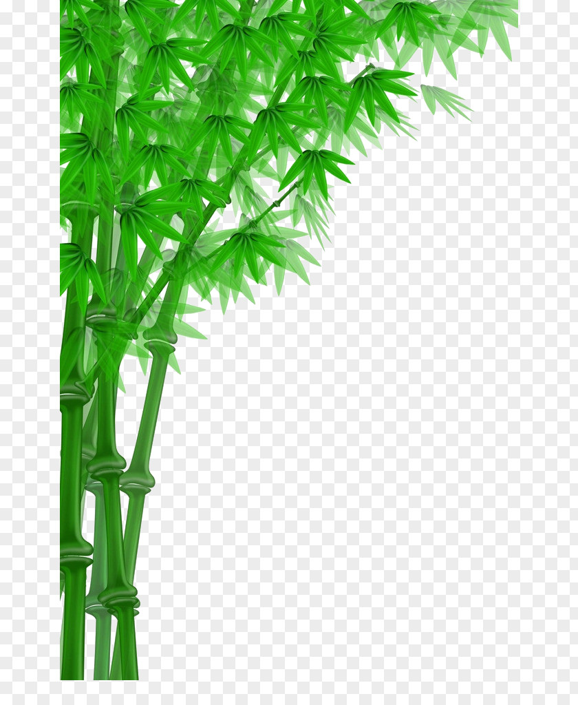 Bamboo Cartoon Vector Image,Cartoon Fresh Chopsticks Download PNG