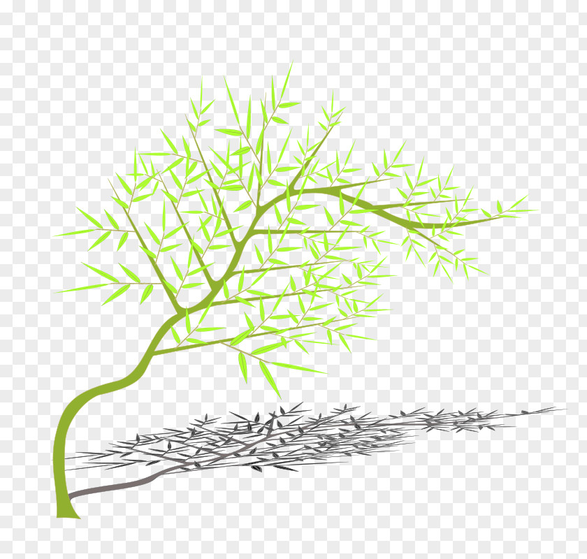 Bamboo Tree Branch PNG