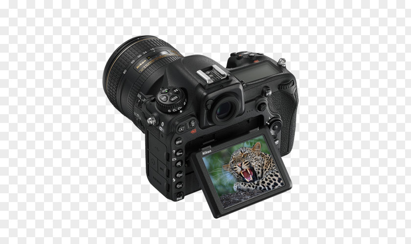 Camera Nikon D5 Digital SLR AF-S DX Nikkor 35mm F/1.8G PNG