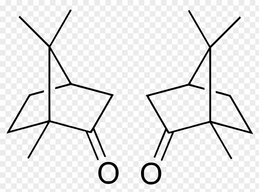 Camphor Camphorsulfonic Acid Camphoric PNG