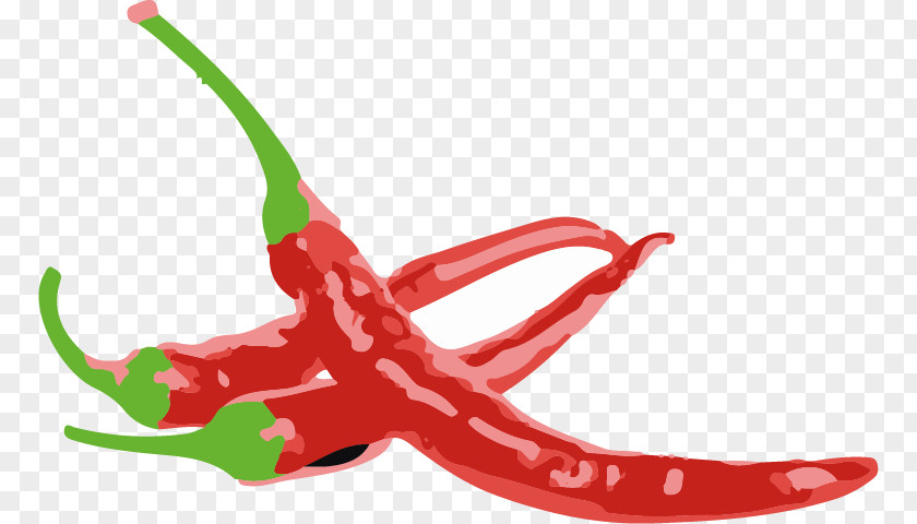 Chilly Cayenne Pepper Bell Chili Scoville Unit Capsicum Pubescens PNG