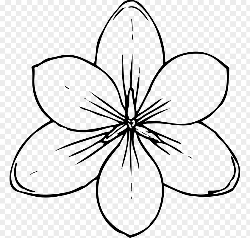 Flower Nature Drawing And Design; Clip Art PNG