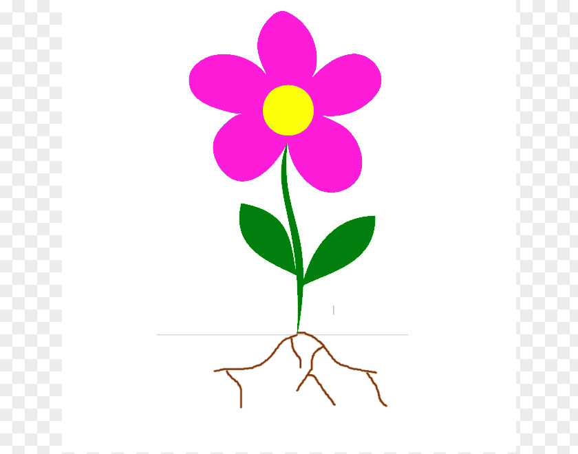 Flower Stem Template Root Plant Clip Art PNG