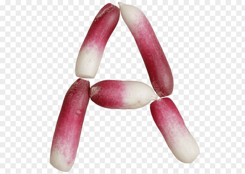 Radish Purple PNG