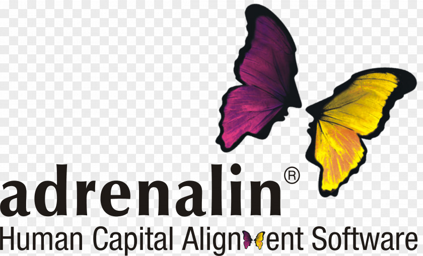 Business Human Resource Management System Adrenalin ESystems Computer Software PNG