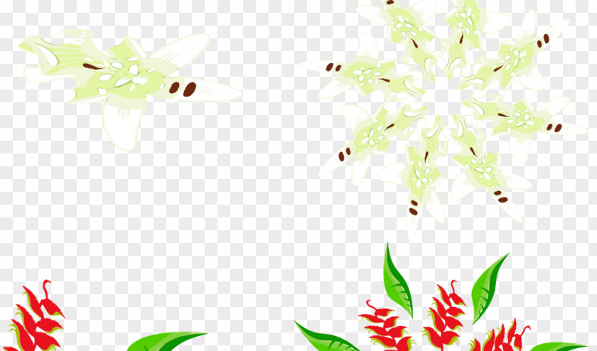 Degradados Illustration Insect Petal Leaf Floral Design PNG