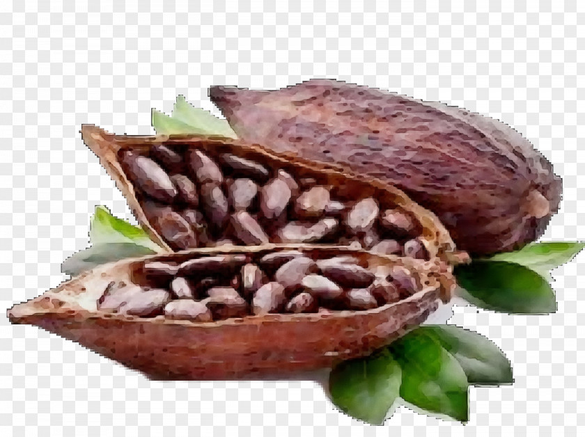 Dish Plant Food Cocoa Bean Cuisine Ingredient PNG