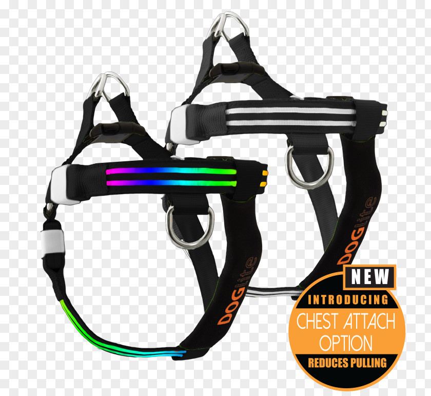 Dog Harness Horse Harnesses Leash Girth PNG