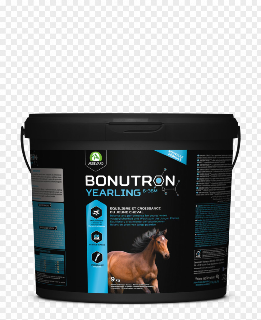 Horse Sport Dietary Supplement Stallion Pony PNG