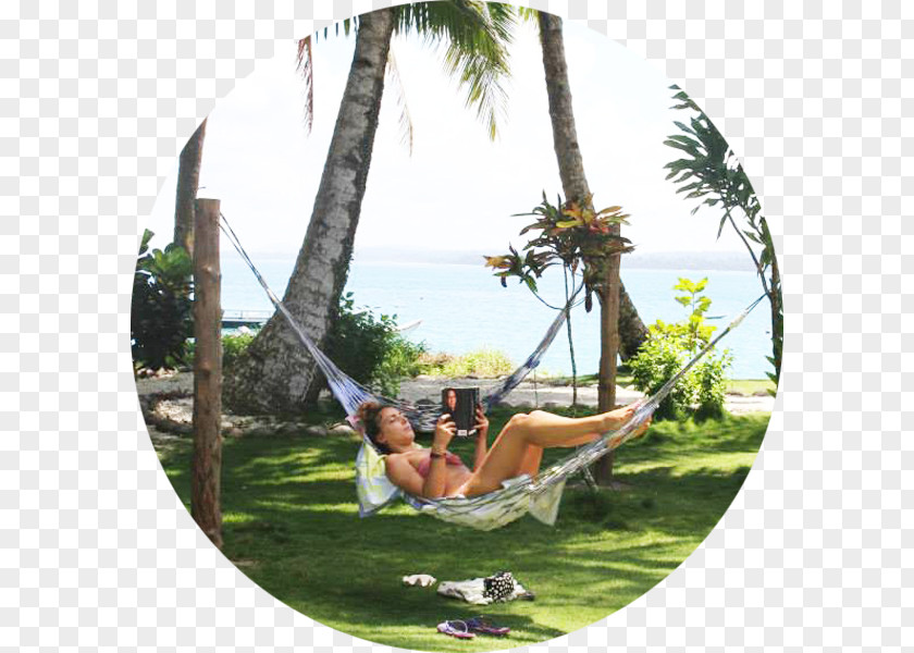 Vacation Leisure Recreation Hammock Tree PNG