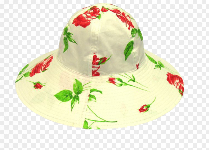 Green Leaf Hat Recreation Vacation Animation Holiday Motion PNG