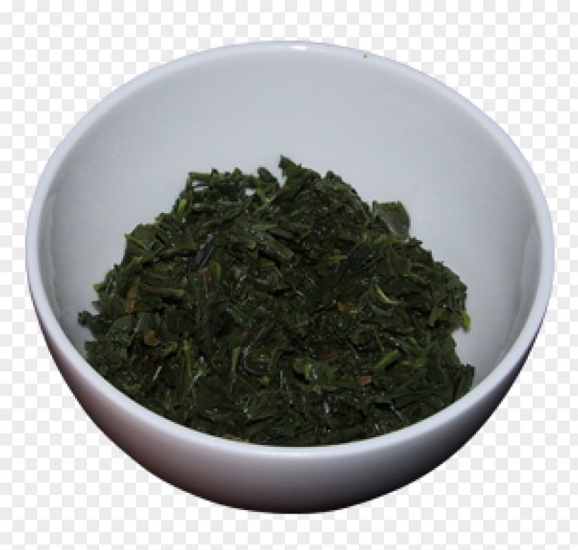Japan Six China Tea Plant Tieguanyin Nilgiri Bancha PNG