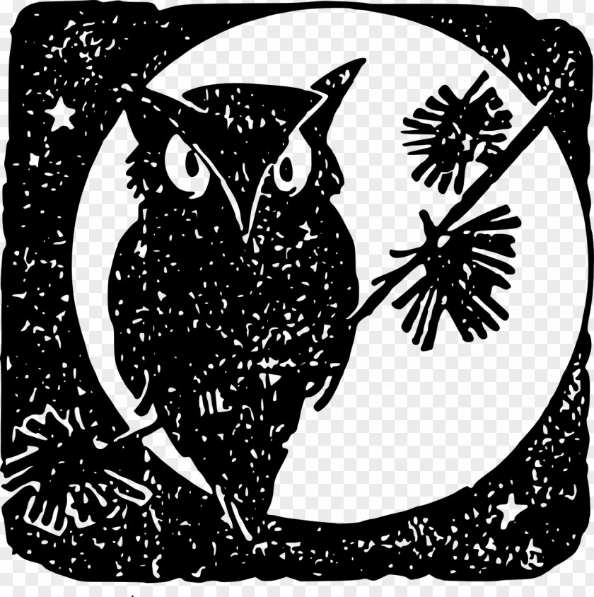 Owls Clothing PNG